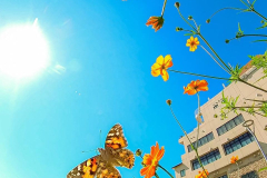 生命漲る秋